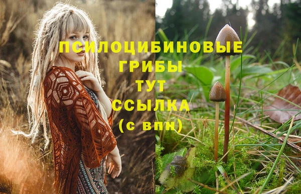 гидропоника Алзамай
