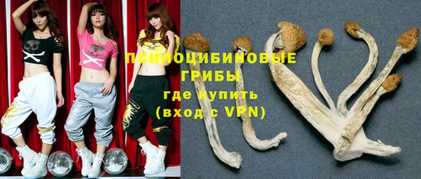 спайс Алексеевка