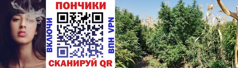 Марихуана марихуана Борисоглебск
